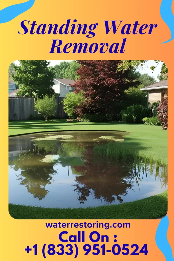 Standing Water Removal in Oak Island, NC